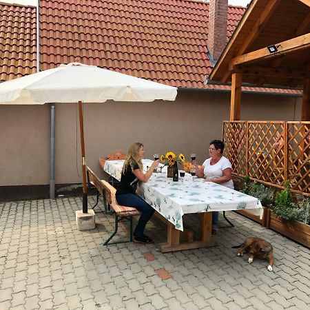 S'Schnoganeschd Villa Nemesvid Екстериор снимка
