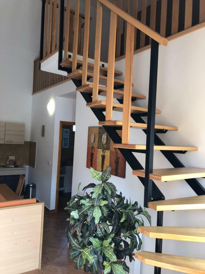 S'Schnoganeschd Villa Nemesvid Екстериор снимка